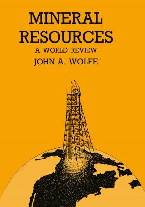 Cover of the book Mineral Resources a World Review by Harald R. Wohlrapp