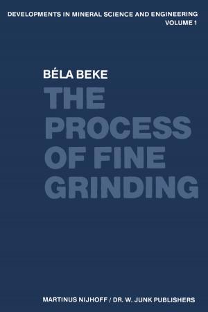 Cover of the book The Process of Fine Grinding by 
