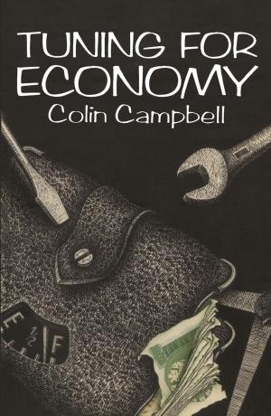 Cover of the book Tuning for Economy by 