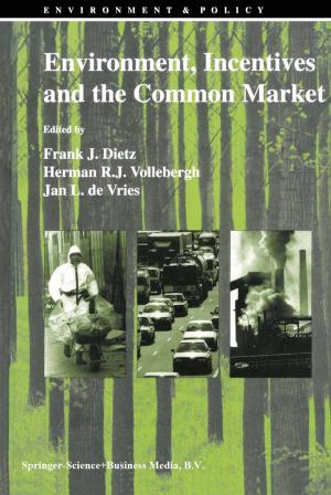 Cover of the book Environment, Incentives and the Common Market by Christian-D. Schönwiese, J. Rapp