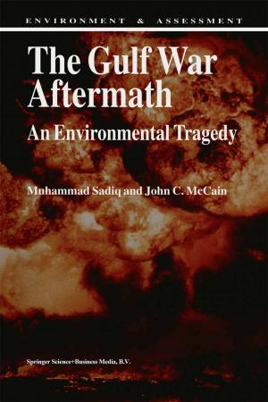 Book cover of The Gulf War Aftermath