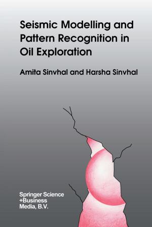 Cover of the book Seismic Modelling and Pattern Recognition in Oil Exploration by Linda C. Sawyer