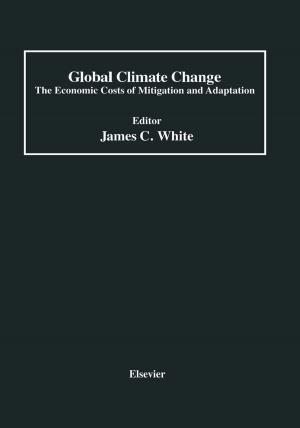 Cover of the book Global Climate Change by Dochan Kwak, Cetin C. Kiris