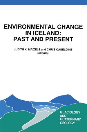 Cover of the book Environmental Change in Iceland: Past and Present by Robert Benjamin Bailey