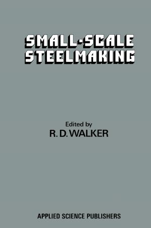 Cover of the book Small-Scale Steelmaking by Fred Wilson