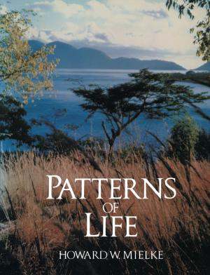 Cover of the book Patterns of Life by Natalia I. Obodan, Olexandr G. Lebedeyev, Vasilii A. Gromov