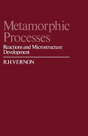 Cover of the book Metamorphic Processes by S.O. Funtowicz, J.R. Ravetz
