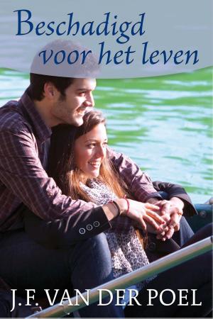 Cover of the book Beschadigd voor het leven by Sarah Lark