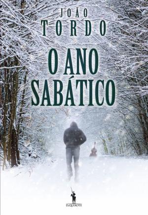 Cover of the book O Ano Sabático by Emily Brontë