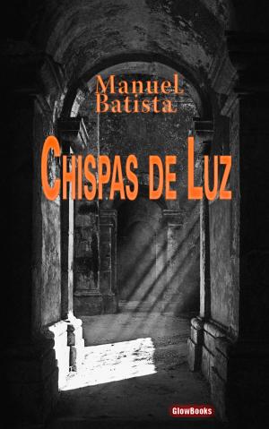 Cover of the book Chispas de Luz by Laura Perkins