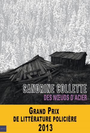 Cover of the book Des noeuds d'acier by Sandrine Collette