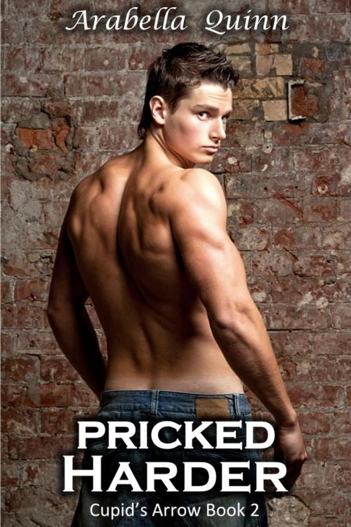 Cover of the book Pricked Harder by Arabella Quinn, Arabella Quinn Publishing