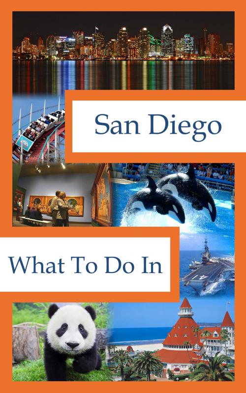 Cover of the book What To Do In San Diego by Richard Hauser, Hauser Publishing