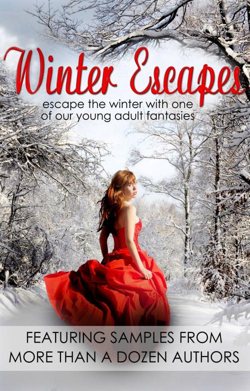 Cover of the book Winter Escapes Sampler by Emily Ann Ward, Katherine Pine, Valerie Gillen, Winter Escapes