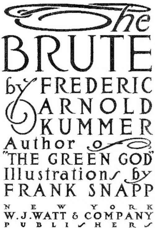 Cover of the book The Brute by Frederic Arnold Kummer, AP Publishing House