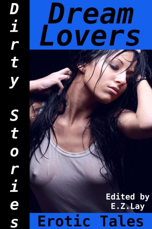 Cover of the book Dirty Stories: Dream Lovers, Erotic Tales by E. Z. Lay, Tales of Flesh Press