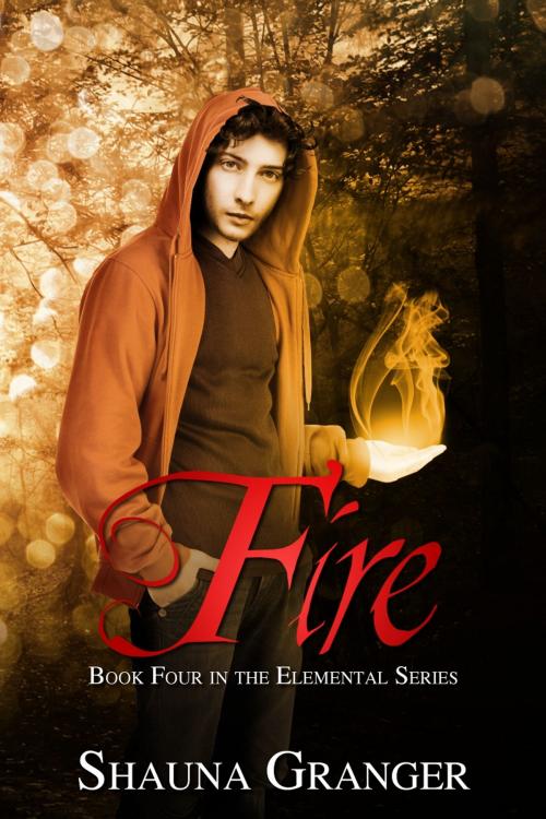 Cover of the book Fire by Shauna Granger, Shauna Granger