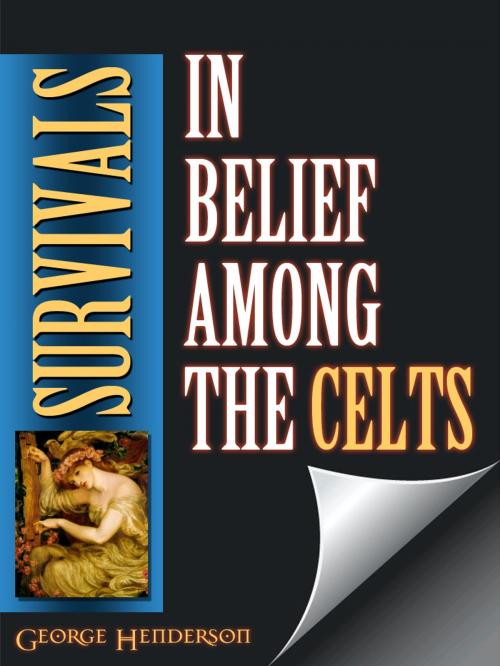 Cover of the book Survivals In Belief Among The Celts by George Henderson, AppsPublisher