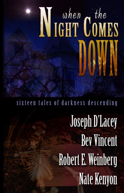 Cover of the book When The Night Comes Down by Joseph D'Lacey, Bev Vincent, Robert E. Weinberg and Nate Kenyon, Dark Arts Books