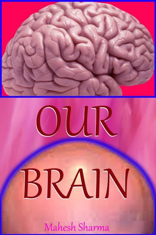 Cover of the book Our Brain by Mahesh Sharma, mahesh dutt sharma