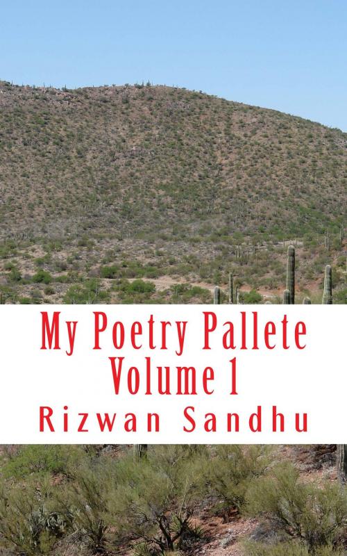 Cover of the book My Poetry Palette - Volume 1 by Rizwan Sandhu, Rizwan Sandhu