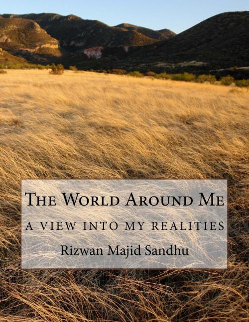 Cover of the book The World Around Me by Rizwan Sandhu, Rizwan Sandhu