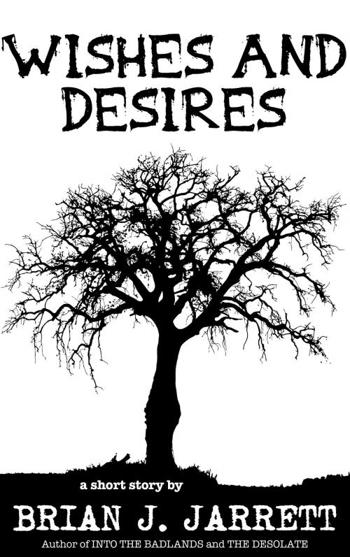 Cover of the book Wishes and Desires by Brian J. Jarrett, Elegy Publishing, LLC