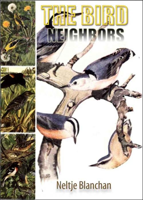 Cover of the book BIRD NEIGHBORS by Neltje Blanchan, V4 Classic Books