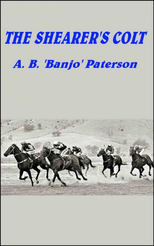 Cover of the book The Shearer's Colt by A. B. Banjo Paterson, Download eBooks