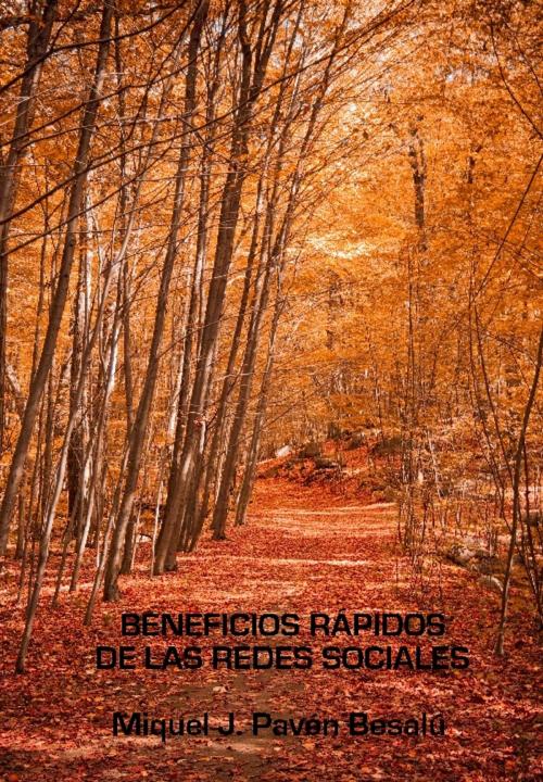 Cover of the book Beneficios rápidos de las redes sociales by Miquel J. Pavón Besalú, Miquel J. Pavón Besalú