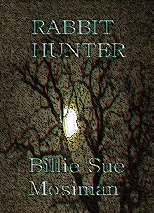 Cover of the book RABBIT HUNTER by Billie Sue Mosiman, DM Publishing