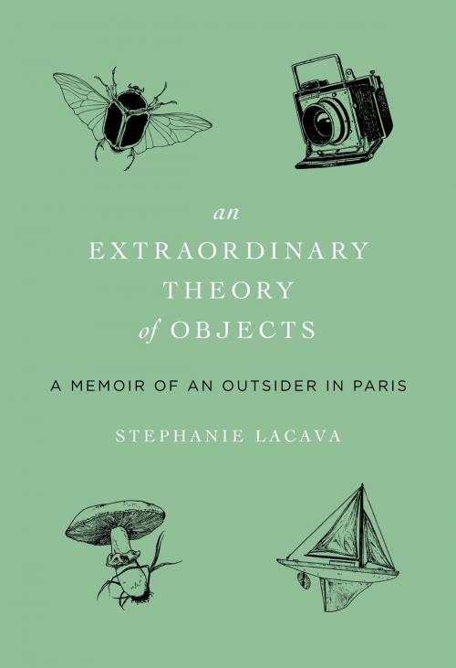 Cover of the book Extraordinary Theory of Objects by Stephanie LaCava, Harper