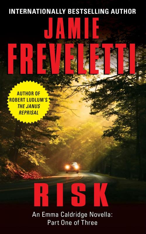 Cover of the book Risk by Jamie Freveletti, William Morrow