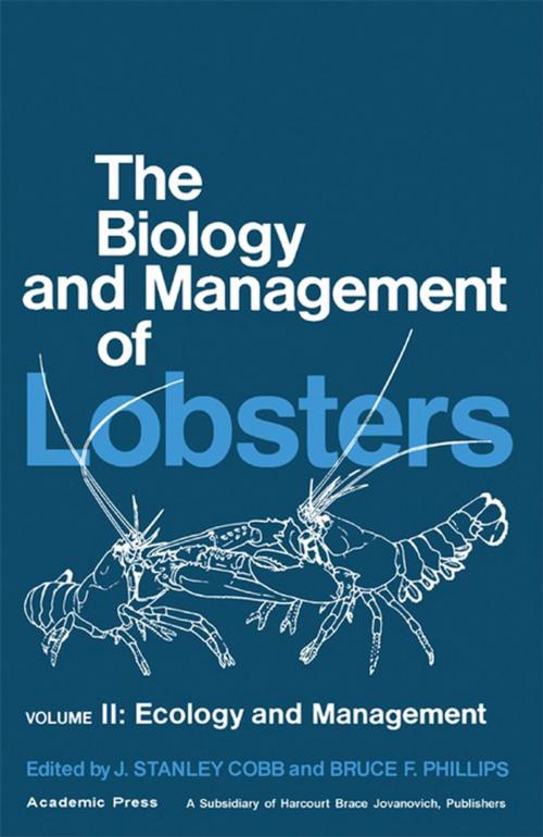 Cover of the book The Biology and Management of Lobsters by , Elsevier Science