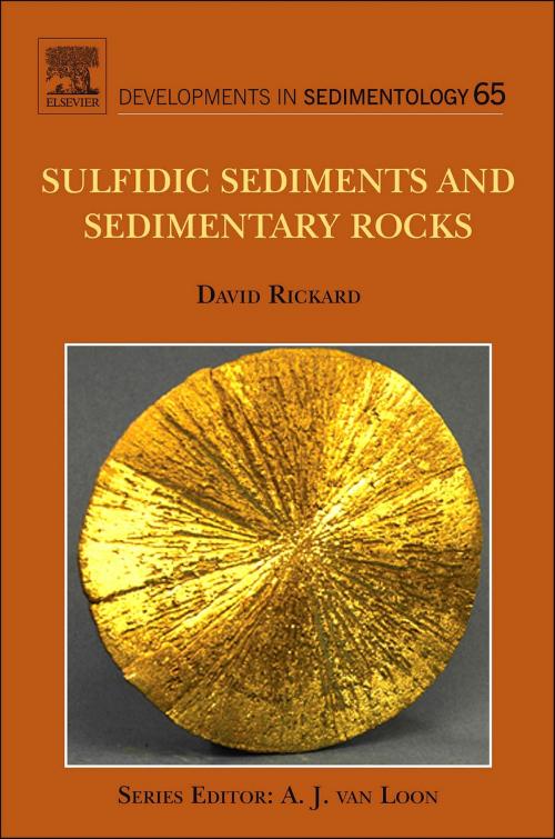 Cover of the book Sulfidic Sediments and Sedimentary Rocks by David Rickard, Elsevier Science