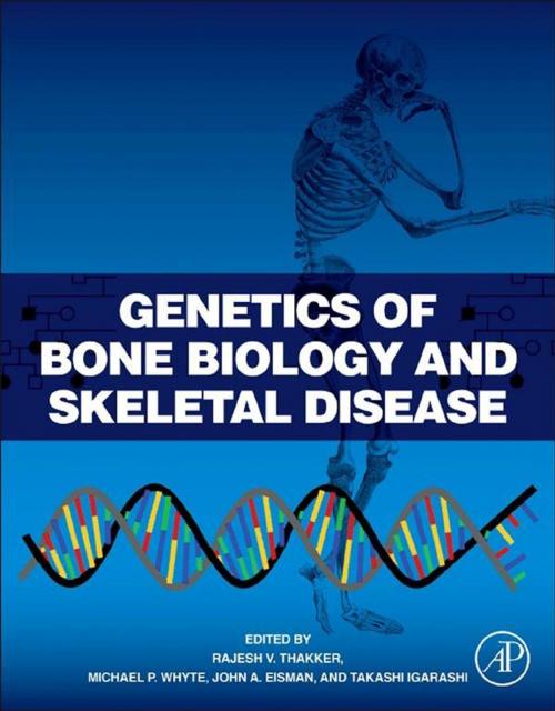 Cover of the book Genetics of Bone Biology and Skeletal Disease by , Elsevier Science
