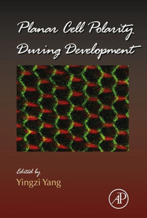 Cover of the book Planar Cell Polarity During Development by Yingzi Yang, Elsevier Science