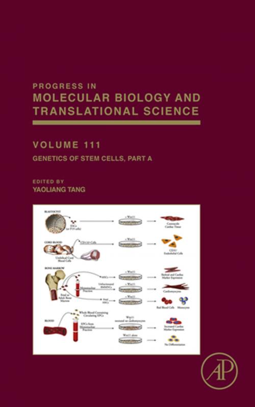 Cover of the book Genetics of Stem Cells by Yaoliang Tang, Elsevier Science
