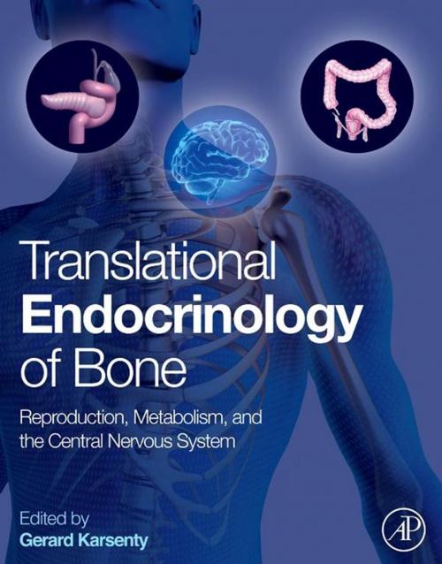 Cover of the book Translational Endocrinology of Bone by , Elsevier Science