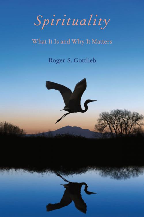Cover of the book Spirituality by Roger S. Gottlieb, Oxford University Press