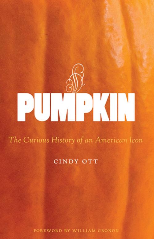 Cover of the book Pumpkin by Cindy Ott, University of Washington Press