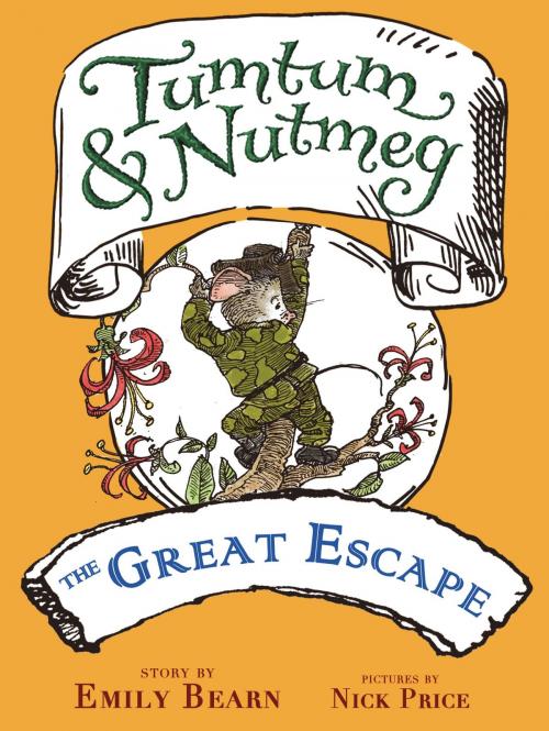Cover of the book Tumtum & Nutmeg: The Great Escape by Emily Bearn, Little, Brown Books for Young Readers