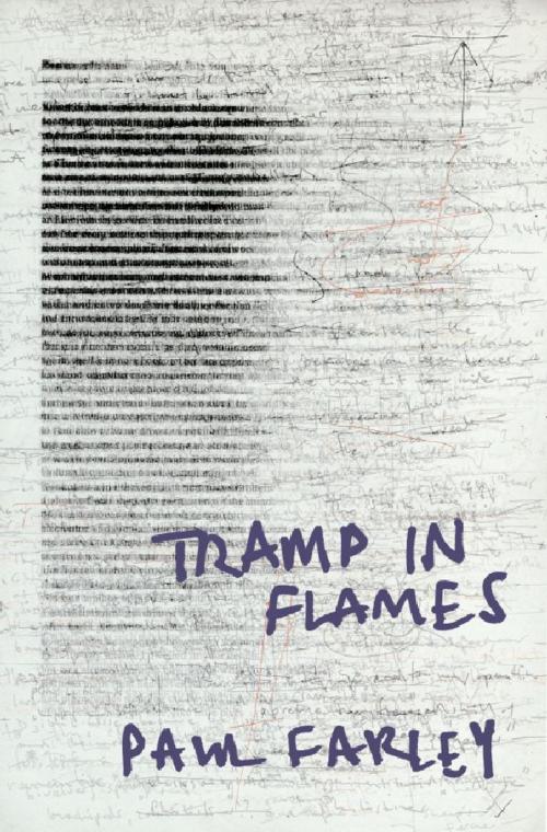Cover of the book Tramp in Flames by Paul Farley, Pan Macmillan