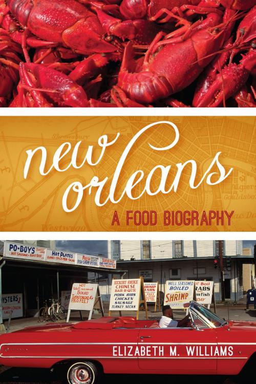 Cover of the book New Orleans by Elizabeth M. Williams, AltaMira Press