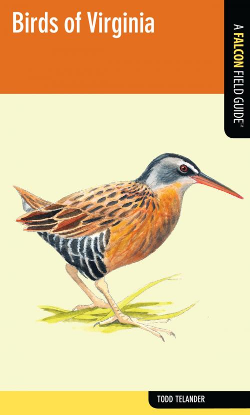 Cover of the book Birds of Virginia by Todd Telander, Falcon Guides