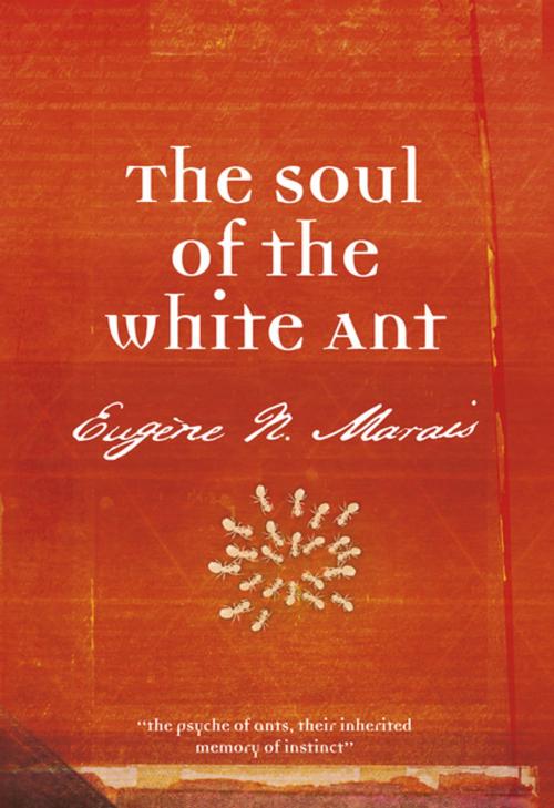 Cover of the book The Soul of the White Ant by Eugene N Marais, Human & Rousseau