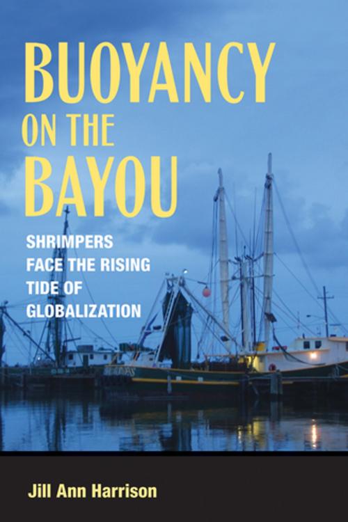 Cover of the book Buoyancy on the Bayou by Jill Ann. Harrison, Cornell University Press