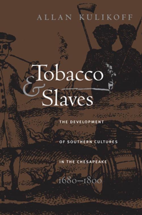 Cover of the book Tobacco and Slaves by Allan Kulikoff, Omohundro Institute and University of North Carolina Press