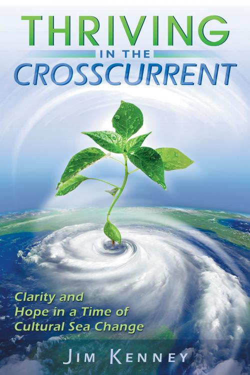 Cover of the book Thriving in the Crosscurrent by James Kenney, Quest Books