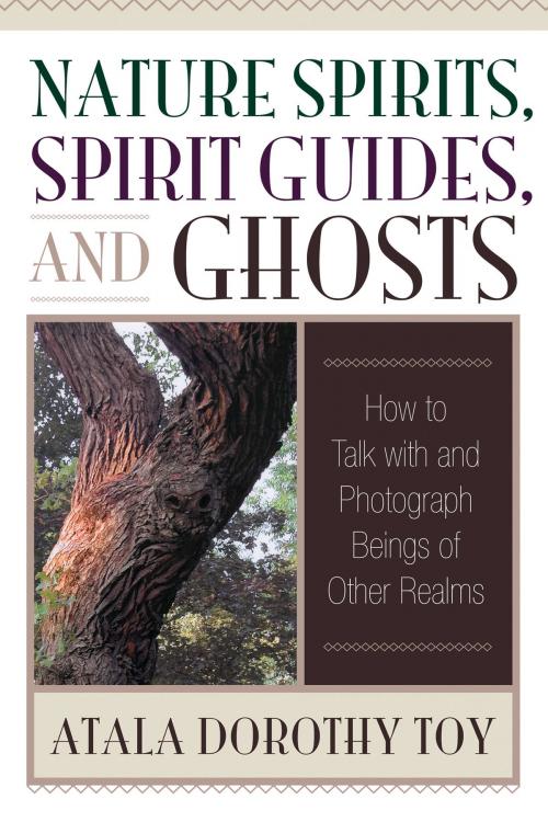 Cover of the book Nature Spirits, Spirit Guides, and Ghosts by Atala Dorothy Toy, Quest Books